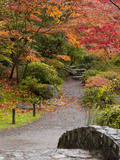 Japanese Garden  Washington Park Arboretum  Seattle  Washington  Usa