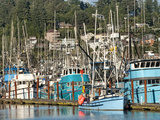 Old Fishing Boats in Harbor at Sunset  Newport  Oregon  Usa