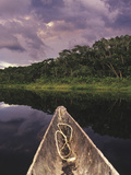 Napo Wildlife Center  Yasuni National Park  Amazon Basin  Ecuador