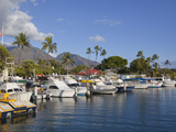 Lahaina Harbor  Maui  Hawaii