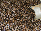 Coffee Beans  Fes  Middle Atlas  Morocco