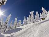 Skiing Untracked Powder at Whitefish Mountain Resort  Montana  Usa
