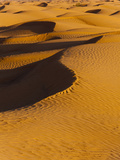 Sand Dunes at Dawn  Grand Erg Oriental Desert  Ksar Ghilane  Tunisia