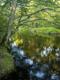 The Taunton River in Bridgewater  Massachusetts  Usa