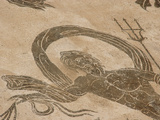 Roman Mosaic  Neptune Riding a Chariot  Baths of Neptune  Ostia Antica  Italy