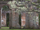 Ruins in the Spring of Old Sheldon Church  South Carolina  Usa