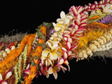 Hawaiian Flower Lei Strand