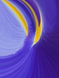 Iris Flowers