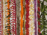 Hawaiian Flower Lei Strand