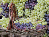 Grape Exhibit on Parade Float  La Festa Dell'Uva  Impruneta  Tuscany  Italy