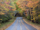 Road Through Acadia National Park in the Fall  Maine  Usa