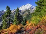 Mt Baker from Kulshan Ridge at Artist's Point  Heather Meadows Recreation Area  Washington  Usa
