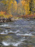 Nason Creek  Wenatchee National Forest  Washington  Usa