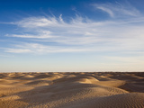 Great Dune at Dusk  Douz  Sahara Desert  Tunisia