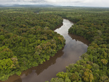 Essequibo River  Between the Orinoco and Amazon  Iwokrama Reserve  Guyana