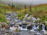 Edith Creek  Mt Rainier National Park  Washington  Usa