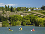 Kayakers and Vineyard  Bannockburn Inlet  Lake Dunstan  Central Otago  South Island  New Zealand
