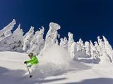 Skiing Untracked Powder on a Sunny Day at Whitefish Mountain Resort  Montana  Usa
