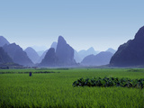 Farmland with the Famous Limestone Mountains of Guilin  Guangxi Province  China