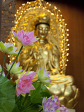 Pink Lotus Flowers in Front of Gold Statue  Kek Lok Si Temple  Island of Penang  Malaysia