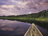 Napo Wildlife Center  Yasuni National Park  Amazon Basin  Ecuador