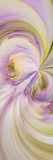 Dahlia Flowers  Birmingham  Alabama  Usa