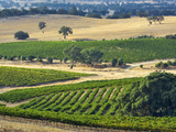 Mountadam Vineyard Winery on High Eden Road  Barossa Valley  Australia
