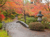 Japanese Garden  Washington Park Arboretum  Seattle  Washington  Usa