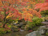Japanese Garden  Washington Park Arboretum  Seattle  Washington  Usa