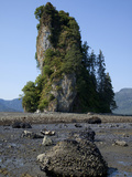 New Eddystone Rock  Behm Canal  Alaska  Usa