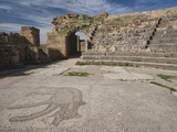 Ruins of Underground Roman-Era Villas  Bulla Regia  Tunisia