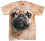 Pug