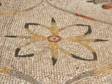 Roman Mosaic  Floral Decoratio  Ostia Antica  Italy