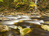 Roaring Brook in Fall in Vermont's Green Mountains National Forest  Sunderland  Vermont  Usa