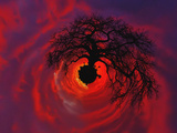African Baobab Tree Silhouetted at Sunset    Tarangire National Park  Tanzania