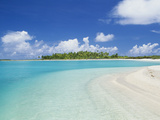 Beach  Rangiroa  French Polynesia