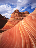 Colorful Sandstone Swirls in the Wave Formation  Paria Canyon  Utah  Usa