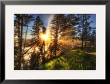 Morning Coffee Yellowstone Fog