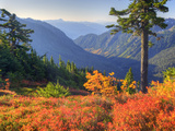 View from Kulshan Ridge  Heather Meadows Recreation Area  Washington  Usa