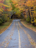 Road Through Acadia National Park in the Fall  Maine  Usa