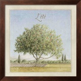 Arbre en Été