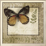 Butterfly Notes V
