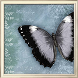 Butterfly Notes X