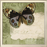 Butterfly Notes IV