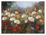 Red & White Flowers