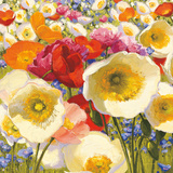 Sunny Abundance