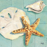 Starfish II