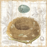 Botanical Nest III