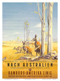 Hamburg America Line: Australian Outback  c1935