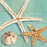 Starfish III